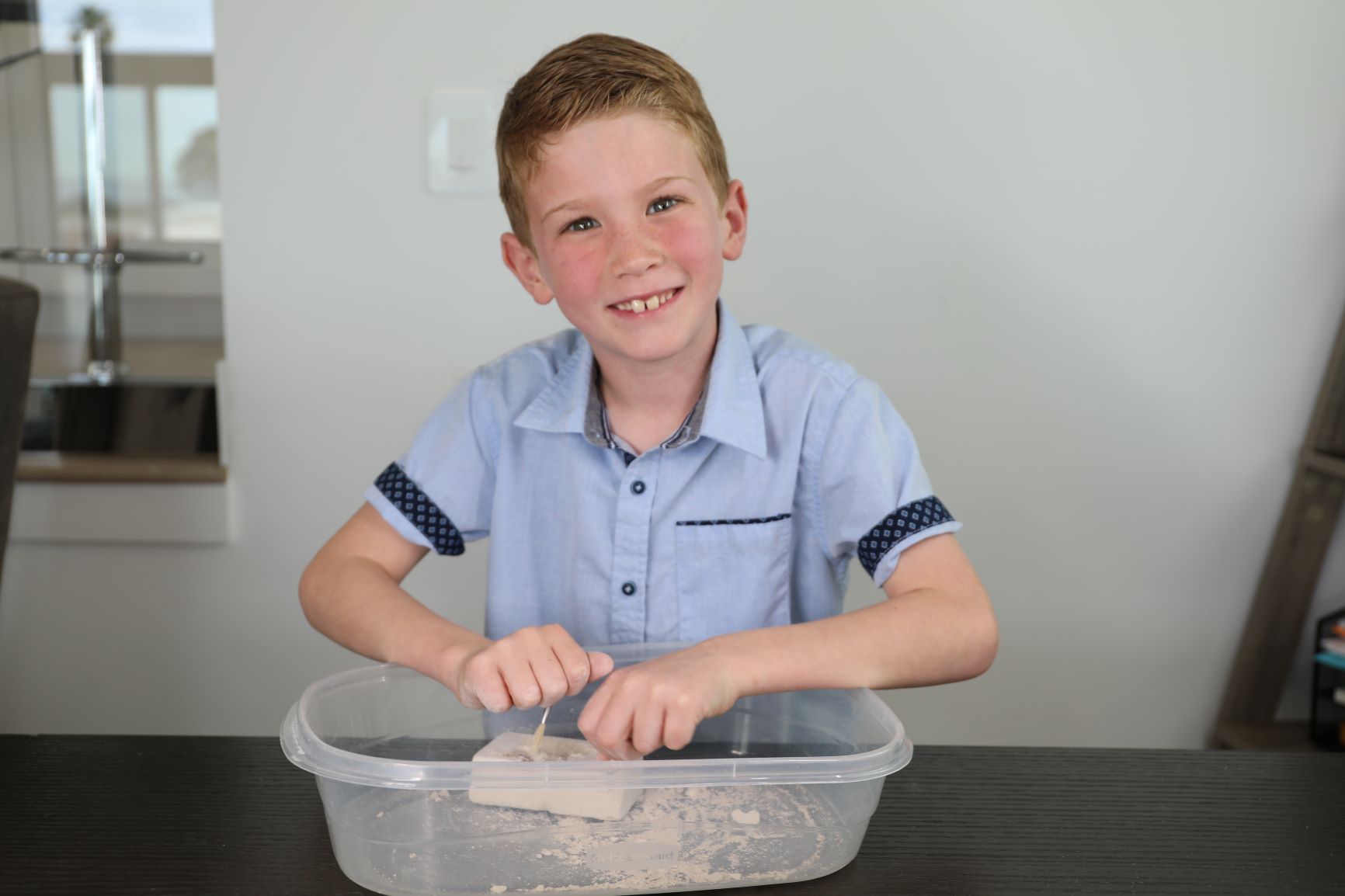 fossil dig experiment