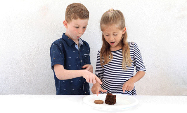 science kit for kids herb garden